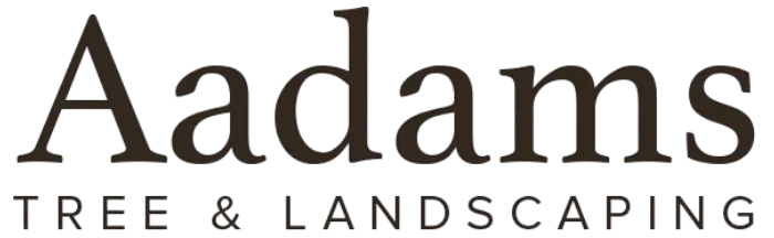 Aadams Tree Service