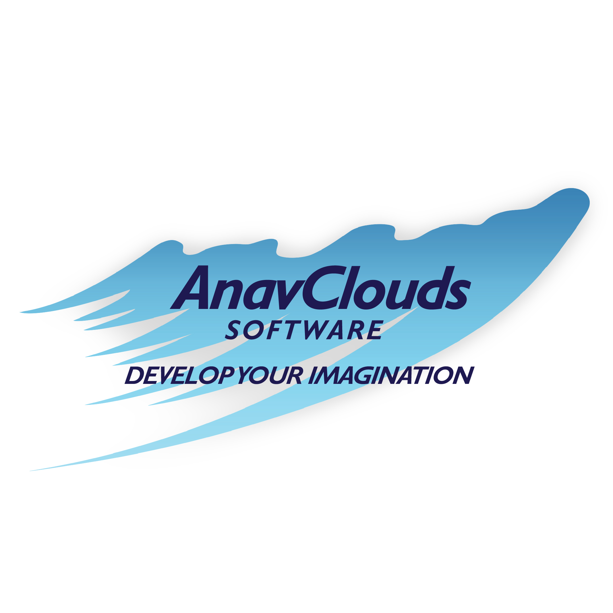 AnavClouds Software Solutions