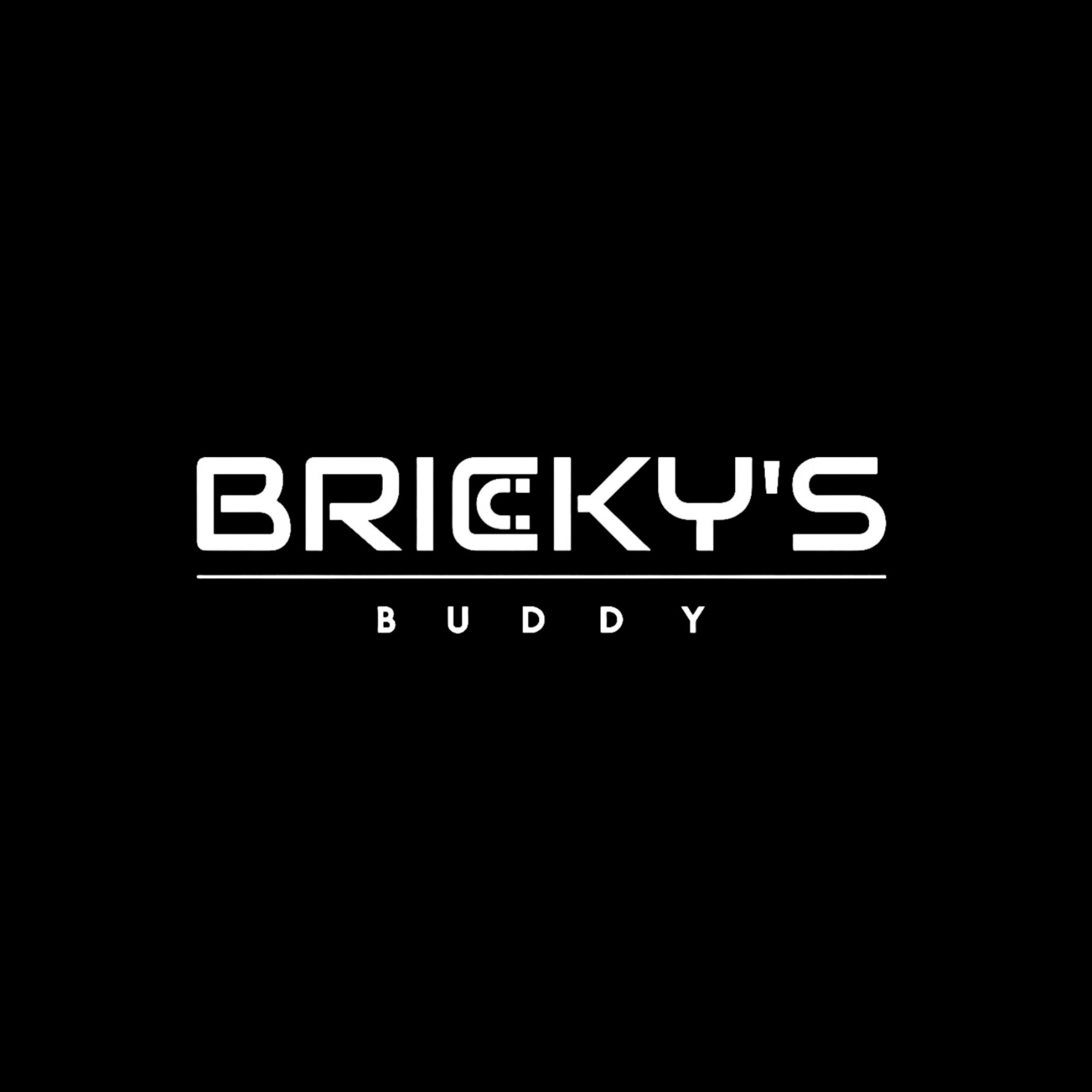 Bricky’s Buddy
