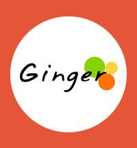 Ginger Webs Private Limited