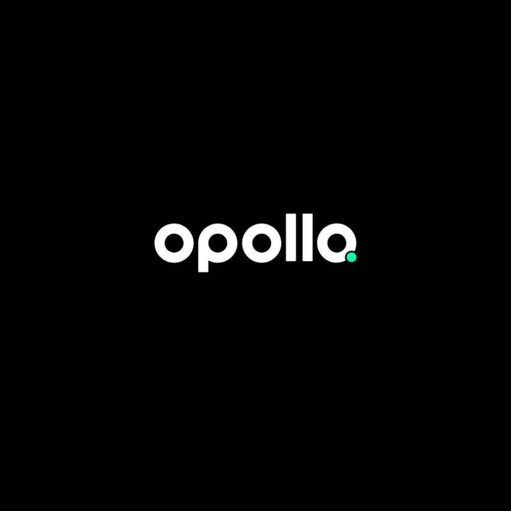 Opollo IT Services