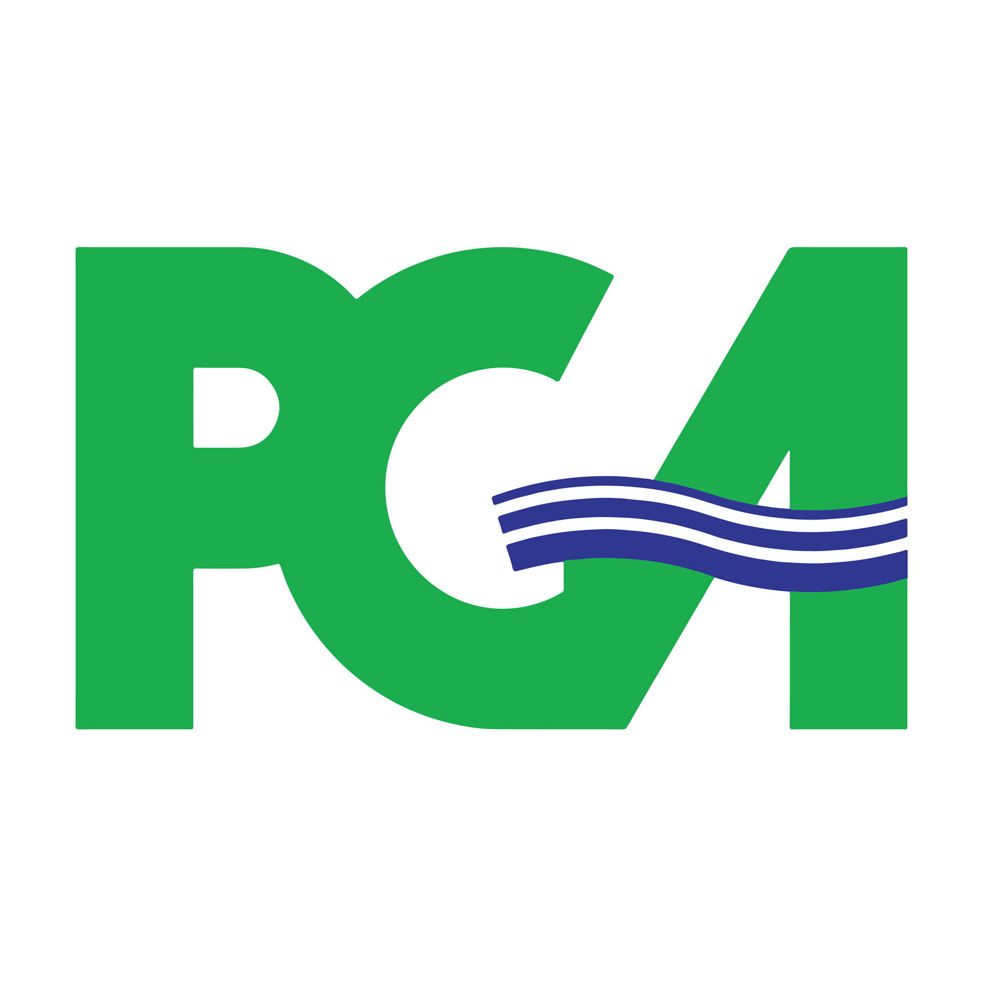 Patel Greene & Associates
