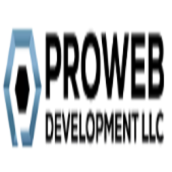 PRO WEB DEVELOPEMENT LLC