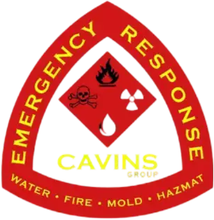 Cavins group