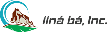 IINA BA