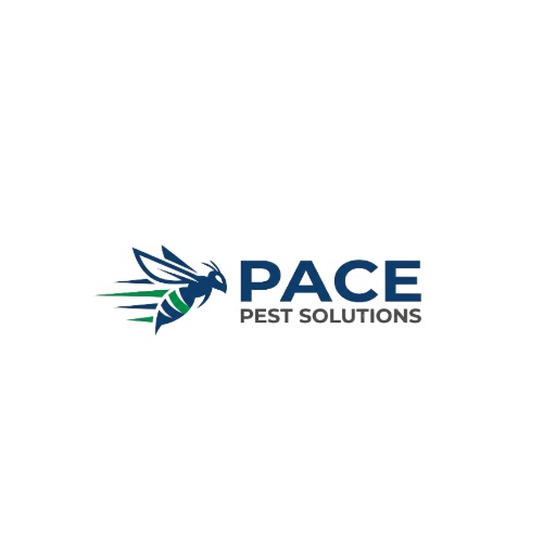 pacepestsolutions