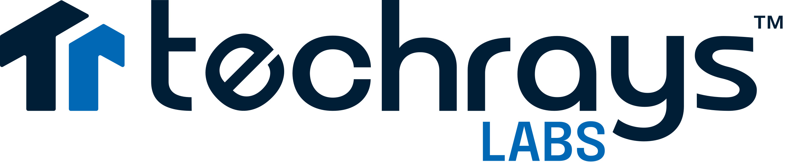 Techrays Office IT Solutions Provider Company | IT Consulting & Managed IT Services