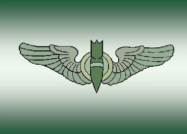 303rd Engineering Group